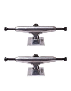 ELEMENT TRUCK RAW 5.0"