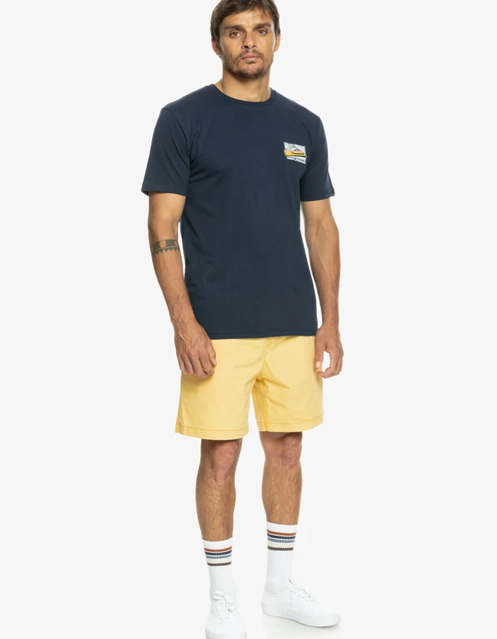 QUIKSILVER TAXER 17" ELASTICATED SHORTS RATTAN - Image 4